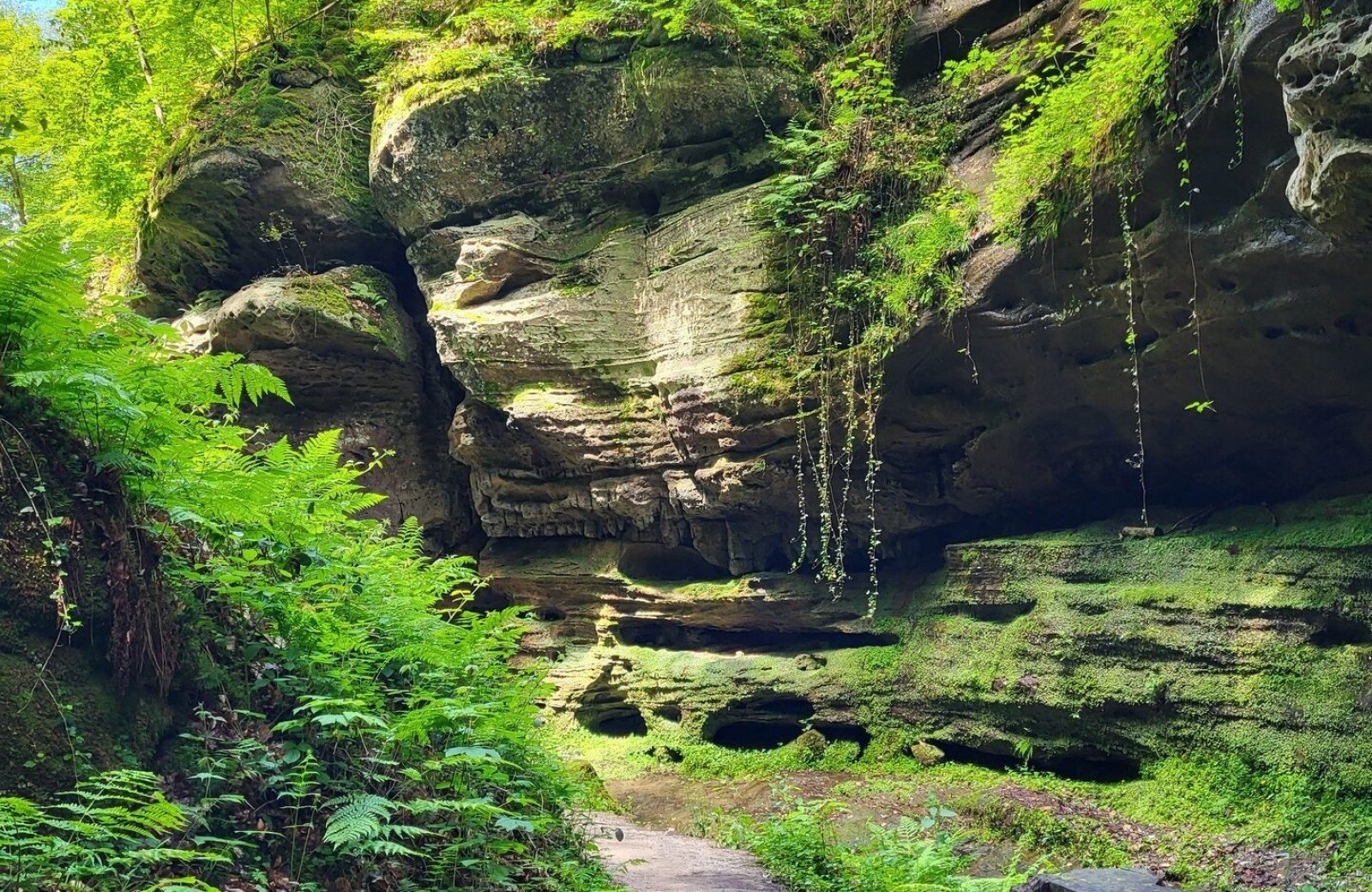 Actif et en plein air